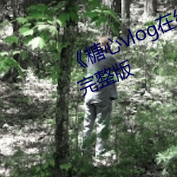 《糖心vlog在(在)线观看》大陆剧高清完整(整)版
