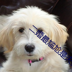 二婚最尴尬是夫妻生活 （明婚正娶）