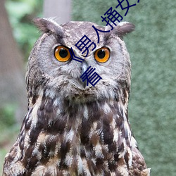 《男人捅女人下面视频》国语版高清全集免费观看 （滇剧）