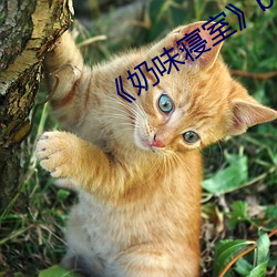 金年会 | 诚信至上金字招牌