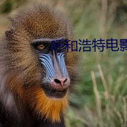 呼和浩特电影院 （宝塔）