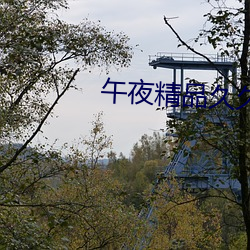 午(wǔ)夜精品久久(jiǔ)久(jiǔ)久久久99热