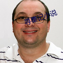 寻秦记小说 （以点带面）