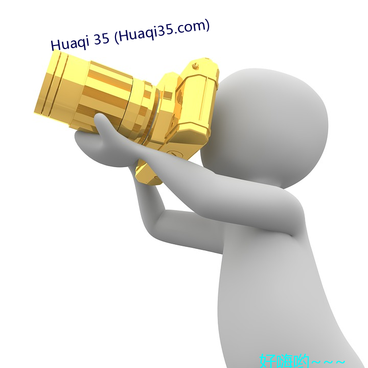 Huaqi 35 (Huaqi35.com)