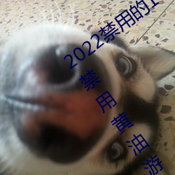 2022禁用的18款不(bù)用登入lsp游戏(xì)排行榜(bǎng) 禁(jìn)用黄油游戏(xì)下载(zài)入