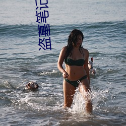 &#x96CF;&#40479;&#x5BFC;&#33322;&#x6700;&#26032;&#x9690;&#34255;&#x5730;&#22336;_&#30423;&#x5893;&#31508;&#x8BB0;&#32769;&#x4E5D;&#38376;