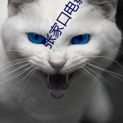 張家口電影院