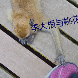 李大根与桃(táo)花娘