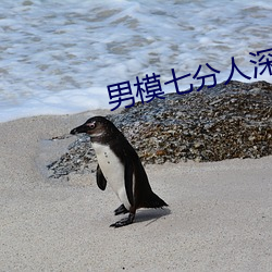 男模七分人深情人