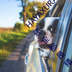 HAYAXURAX免費所有內容可以自由選擇?網友:還全都是精品!