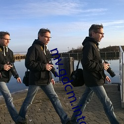 mv.gdcm.into