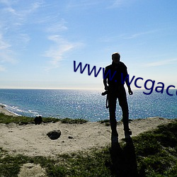 www.wcgacc.com