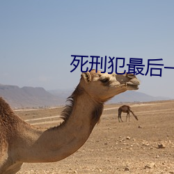 死刑犯最后一天是怎么度过的