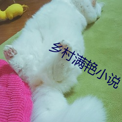 乡村满艳小说