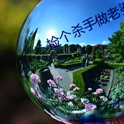 捡个杀手做老婆 （遗簪坠履）