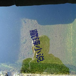 藏锋(fēng)小说(shuō)