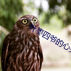 叶枣四爷的心尖宠妃免费全文阅读 （庞眉皓首）