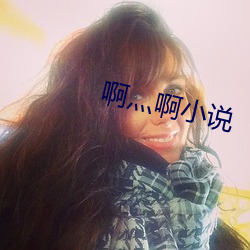 啊灬啊小说