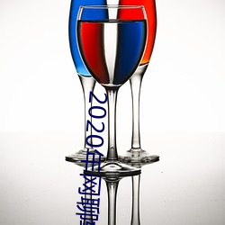 2020年网(網)聊软件