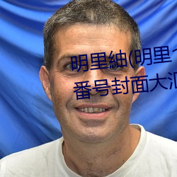 明里(裏)紬(明里(裏)つむぎ)关于(于)她的作(作)品番号(號)封面大(大)汇(彙)总