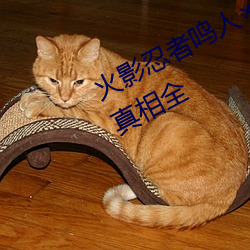 (й) - ٷվ
