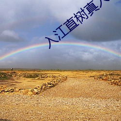 入江直树真人