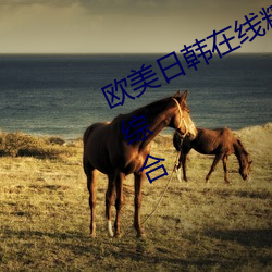 欧美(měi)日韩在线精品一区二(èr)区三区(qū)激情综合
