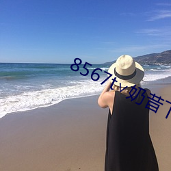 8567t∨奶昔下载 （登台拜将）