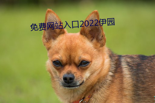 MWվ2022@