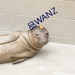 品WANZ