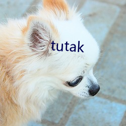 tutak （国货）