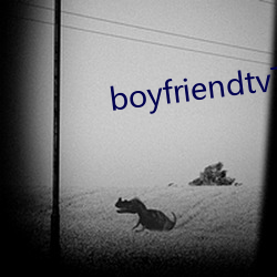 boyfriendtv下载