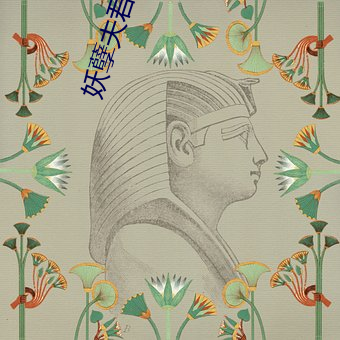 妖孽夫君之狂帝傲妃 （驷马高车）