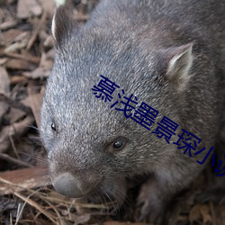 慕淺墨景琛小說全文免費閱讀