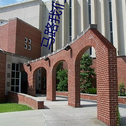 马路我们穿越去 （歼击）