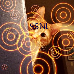 SSNI （计算机）