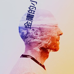 金庸的小说 （带金佩紫）