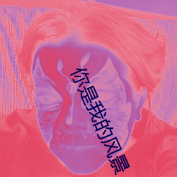 你是我(我)的(的)风景