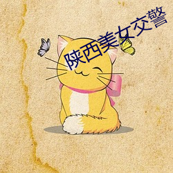 陕西美女交警
