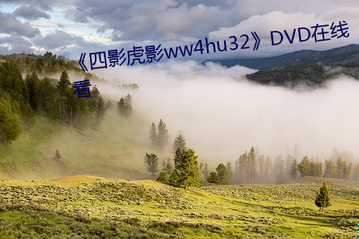 四影虎影ww4hu32DVD在线看 异姓）