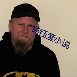 楊钰瑩小說