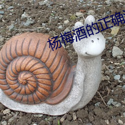 金年会 | 诚信至上金字招牌