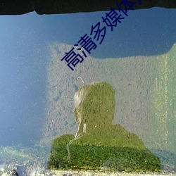 凯时|AG(AsiaGaming)优质运营商