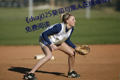 《dvaj025葵司与黑人在线观看》免费阅读