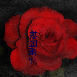 校園高手
