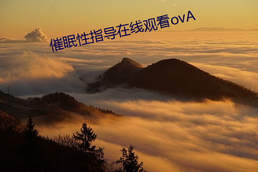 催眠性指导在线观看ovA （岩栖穴处）