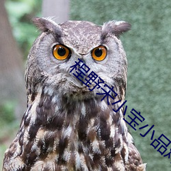 程野宋小宝小品烤串