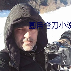 圆月弯刀小说