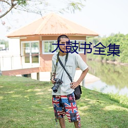 大(大)鼓书(書)全集