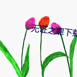 無證之罪下載